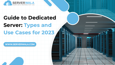 Guide to Dedicated Server: Types and Use Cases for 2023