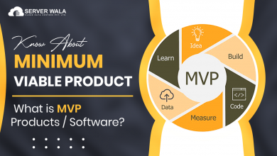 Minimum Viable Product - What is MVP Products/Software?