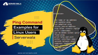 Ping Command Examples for Linux Users