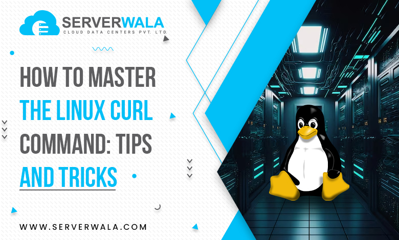 How to Master the Linux Curl Command: Tips and Tricks?