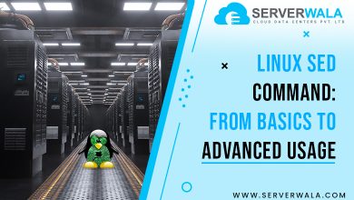 Linux sed Command: From Basics to Advanced Usage