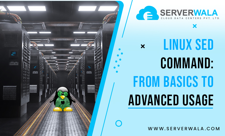 Linux sed Command: From Basics to Advanced Usage