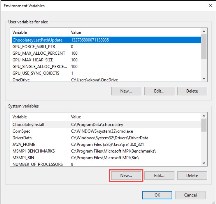 environment variable