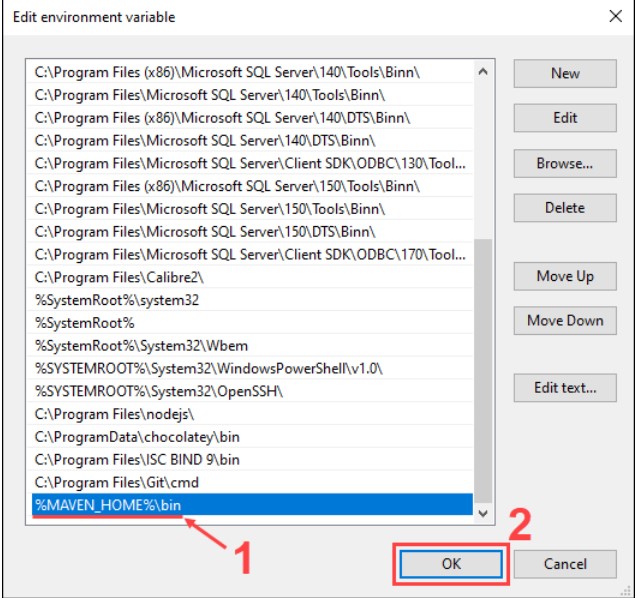 Edit environment variable