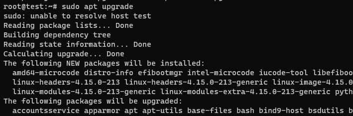 sudo apt upgrade