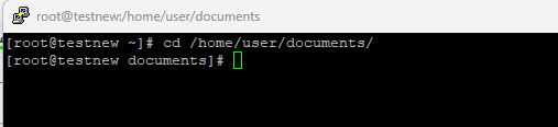 cd /home/user/documents