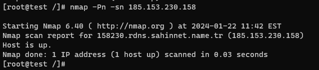 Ping Scan (-sn)