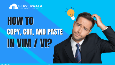 Copy, Cut, and Paste in Vim / Vi