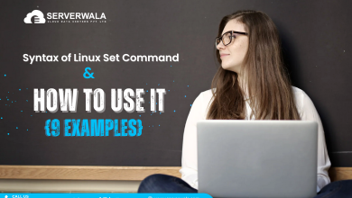 Linux Set Command