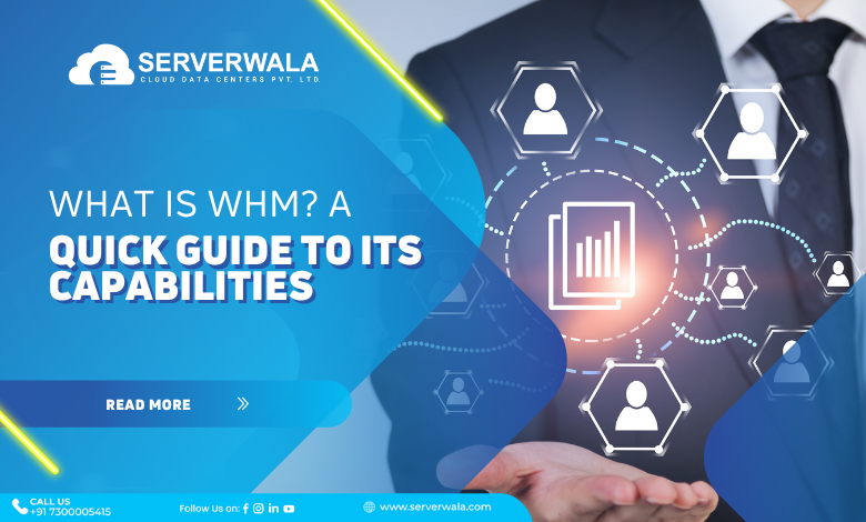 What is WHM? A Quick Guide To its Capabilities