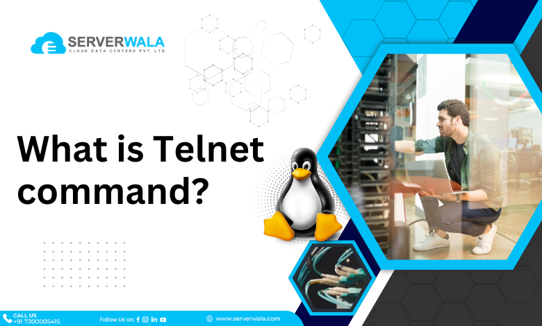 How to Use Telnet Command in Linux with Examples?