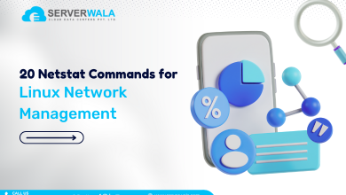 20 Netstat Commands for Linux Network Management