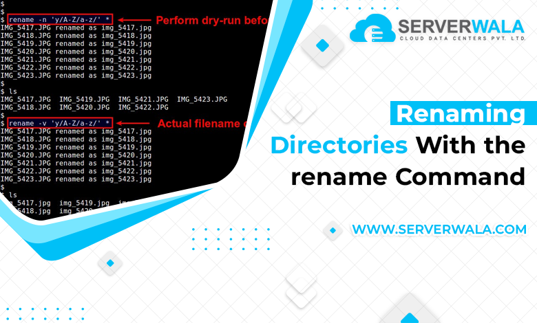 Renaming Directories With the rename Command