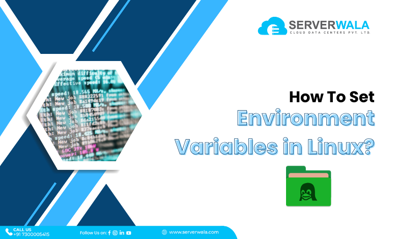 Environment Variables in Linux