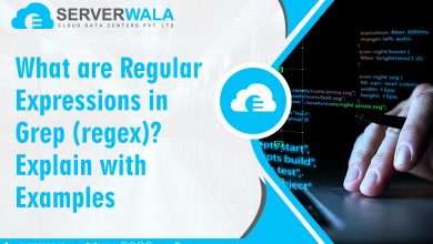 Regular Expressions in Grep (regex)