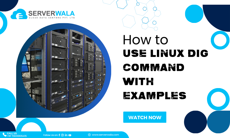 Linux Dig Command with Examples