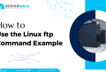 Linux FTP Command