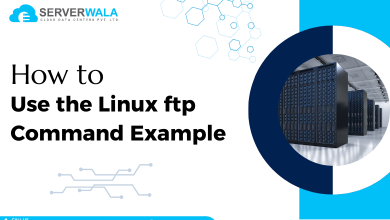 Linux FTP Command