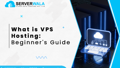 VPS Hosting