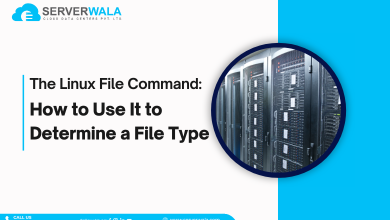 The Linux File Command