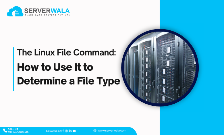 The Linux File Command