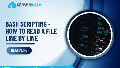 Bash Scripting - How to read a file line by line