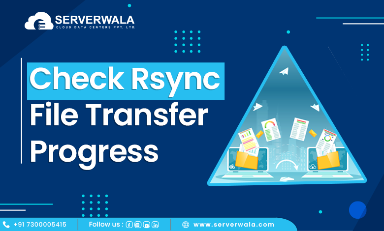 Check Rsync File Transfer Progress