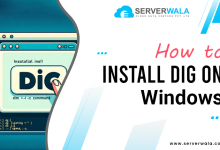 How to Install Dig on Windows?