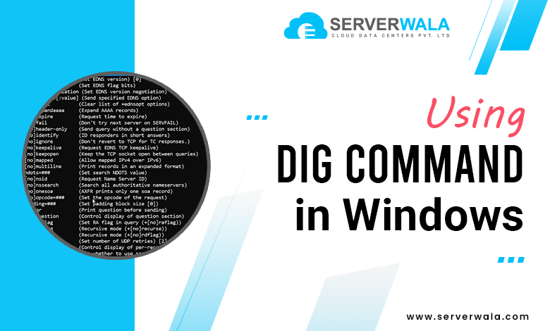 Using dig Command in Windows