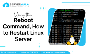 How to Reboot or Restart a Linux Server? - Serverwala