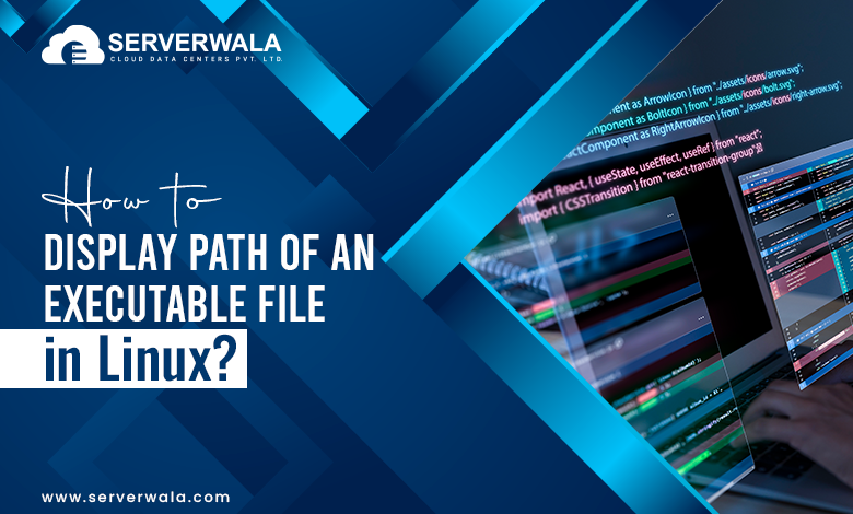 How to Display Path of an Executable File in Linux?