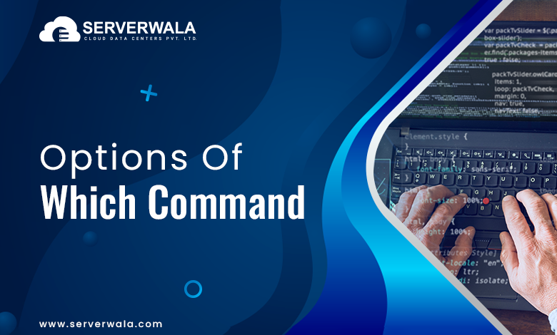 Options of Which Command