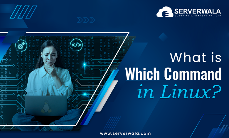 What is Which Command in Linux?