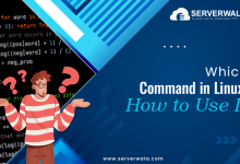 Which Command in Linux: How to Use It