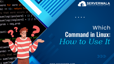 Which Command in Linux: How to Use It