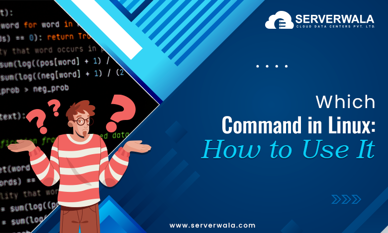 Which Command in Linux: How to Use It