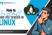 How to Install and Use Screen in Linux?