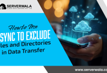 How to Use rsync to Exclude Files and Directories in Data Transfer