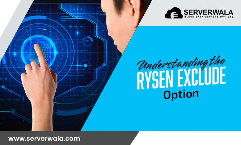 Understanding the Rsync Exclude Option