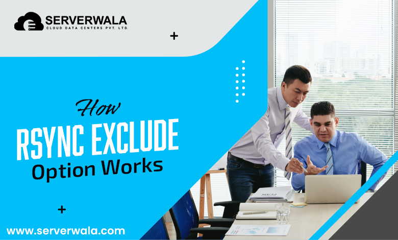 How does rsync Excludes Option Work?