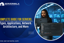 Complete Guide for Servers: Types, Applications, Network Architecture, and More