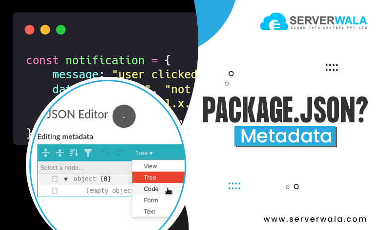 package.json Metadata